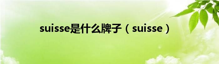 suisse是什么牌子（suisse）