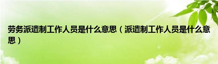 劳务派遣制工作人员是什么意思（派遣制工作人员是什么意思）