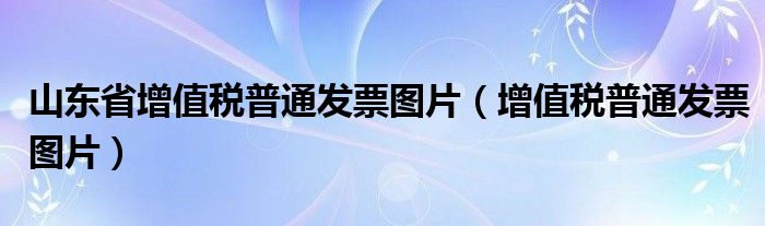 山东省增值税普通发票图片（增值税普通发票图片）