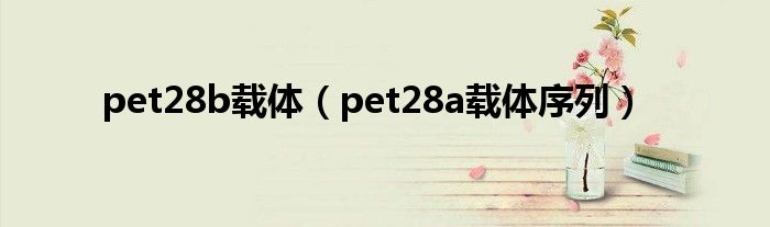 pet28b载体（pet28a载体序列）