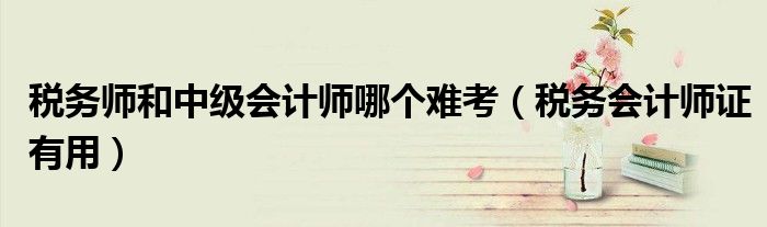 税务师和中级会计师哪个难考（税务会计师证有用）