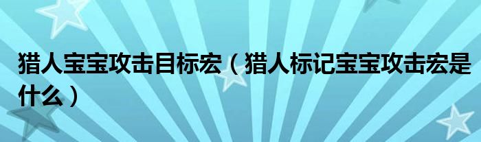 猎人宝宝攻击目标宏（猎人标记宝宝攻击宏是什么）