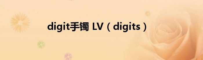 digit手镯 LV（digits）