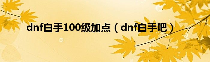 dnf白手100级加点（dnf白手吧）