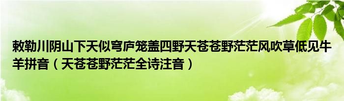 敕勒川阴山下天似穹庐笼盖四野天苍苍野茫茫风吹草低见牛羊拼音（天苍苍野茫茫全诗注音）