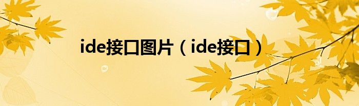 ide接口图片（ide接口）