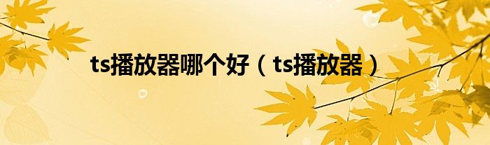 ts播放器哪个好（ts播放器）