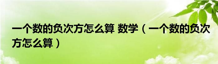 一个数的负次方怎么算 数学（一个数的负次方怎么算）