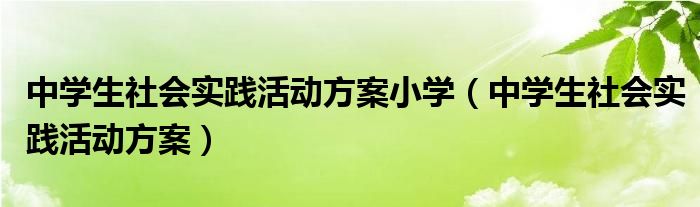 中学生社会实践活动方案小学（中学生社会实践活动方案）