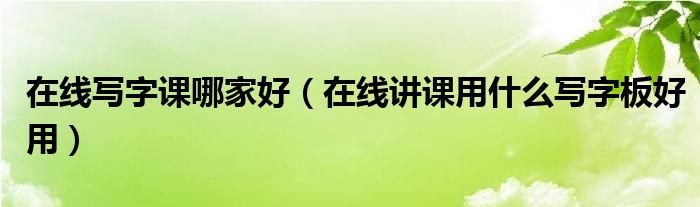 在线写字课哪家好（在线讲课用什么写字板好用）