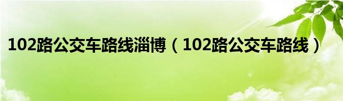 102路公交车路线淄博（102路公交车路线）