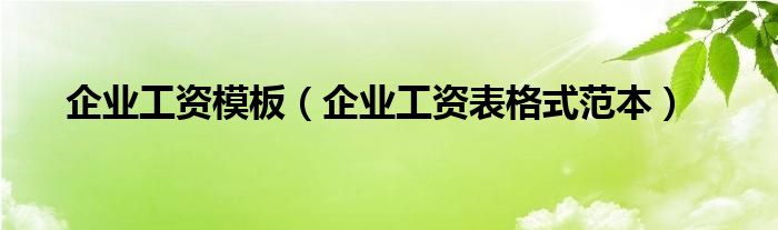 企业工资模板（企业工资表格式范本）