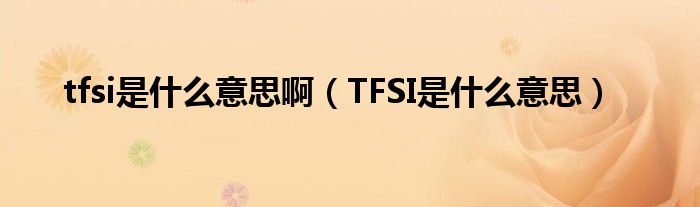 tfsi是什么意思啊（TFSI是什么意思）