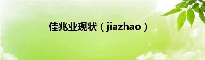 佳兆业现状（jiazhao）