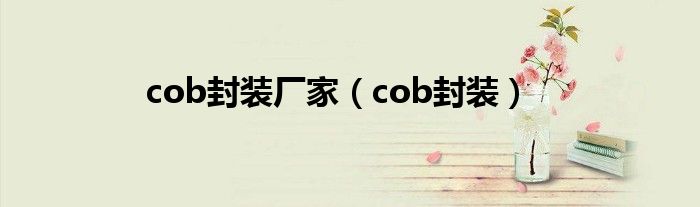 cob封装厂家（cob封装）