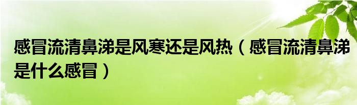 感冒流清鼻涕是风寒还是风热（感冒流清鼻涕是什么感冒）