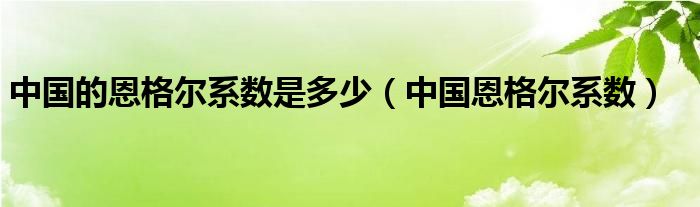 中国的恩格尔系数是多少（中国恩格尔系数）