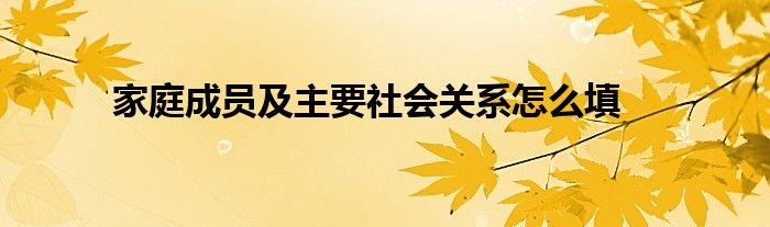 家庭成员及主要社会关系怎么填