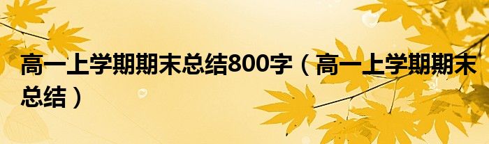 高一上学期期末总结800字（高一上学期期末总结）