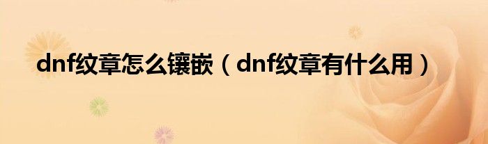 dnf纹章怎么镶嵌（dnf纹章有什么用）