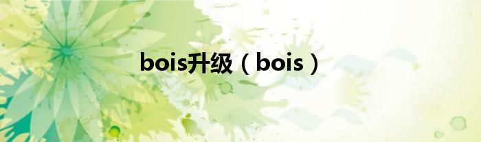 bois升级（bois）