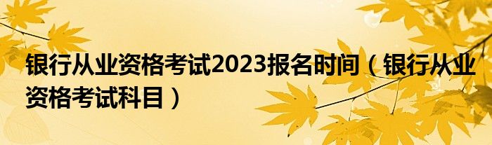 银行从业资格考试2023报名时间（银行从业资格考试科目）