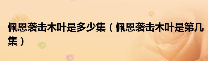 佩恩袭击木叶是多少集（佩恩袭击木叶是第几集）