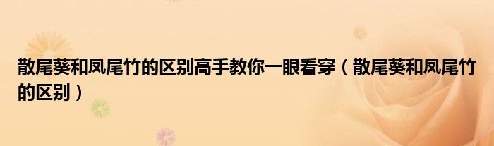 散尾葵和凤尾竹的区别高手教你一眼看穿（散尾葵和凤尾竹的区别）