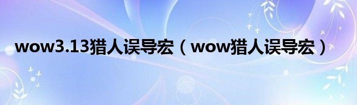 wow3.13猎人误导宏（wow猎人误导宏）