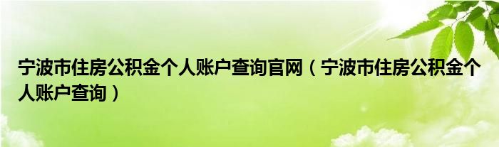 宁波市住房公积金个人账户查询官网（宁波市住房公积金个人账户查询）