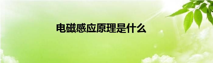 电磁感应原理是什么