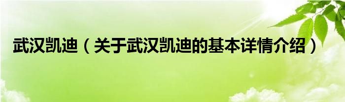 武汉凯迪（关于武汉凯迪的基本详情介绍）