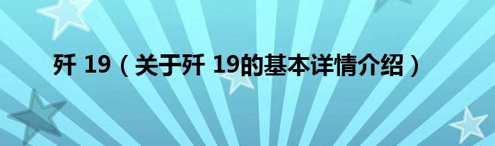 歼 19（关于歼 19的基本详情介绍）