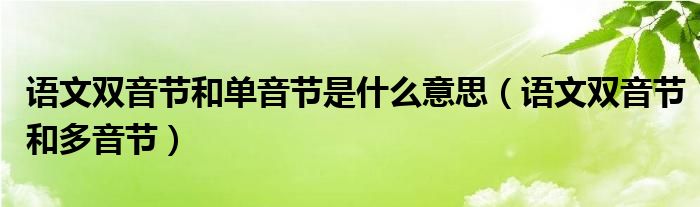 语文双音节和单音节是什么意思（语文双音节和多音节）