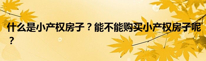 什么是小产权房子？能不能购买小产权房子呢？