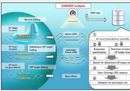 研究人员开发危险分析工具以更安全地设计基因编辑