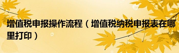 增值税申报操作流程（增值税纳税申报表在哪里打印）