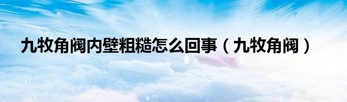 九牧角阀内壁粗糙怎么回事（九牧角阀）