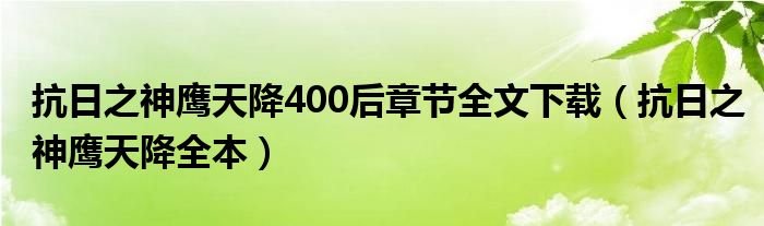 抗日之神鹰天降400后章节全文下载（抗日之神鹰天降全本）