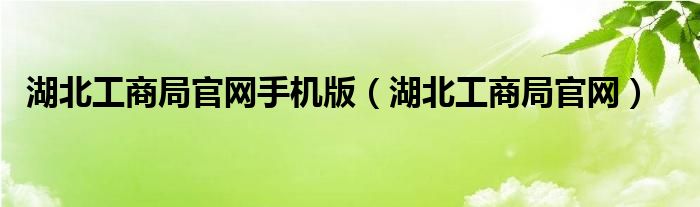 湖北工商局官网手机版（湖北工商局官网）