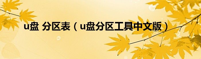 u盘 分区表（u盘分区工具中文版）