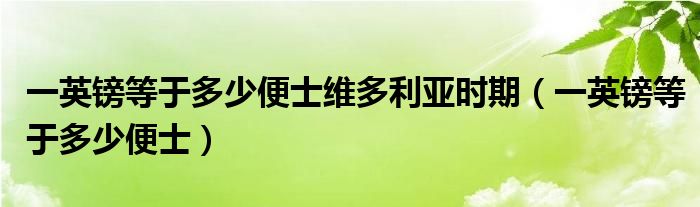 一英镑等于多少便士维多利亚时期（一英镑等于多少便士）