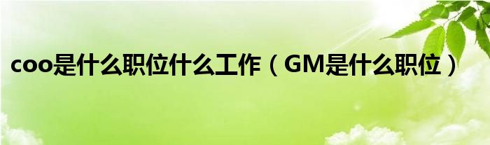 coo是什么职位什么工作（GM是什么职位）