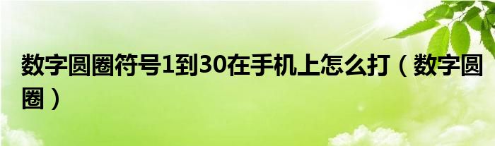 数字圆圈符号1到30在手机上怎么打（数字圆圈）