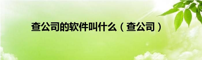 查公司的软件叫什么（查公司）