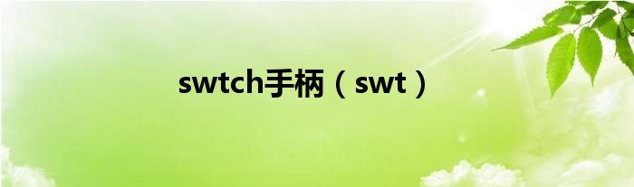 swtch手柄（swt）