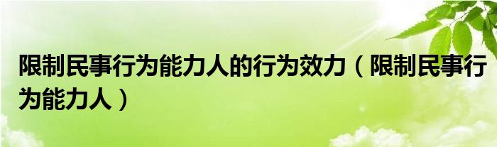 限制民事行为能力人的行为效力（限制民事行为能力人）