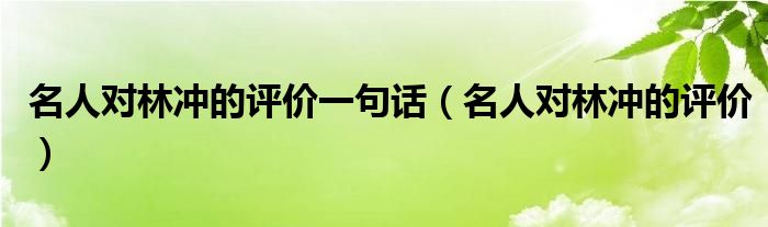 名人对林冲的评价一句话（名人对林冲的评价）