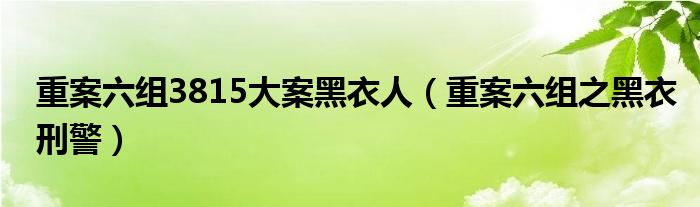 重案六组3815大案黑衣人（重案六组之黑衣刑警）