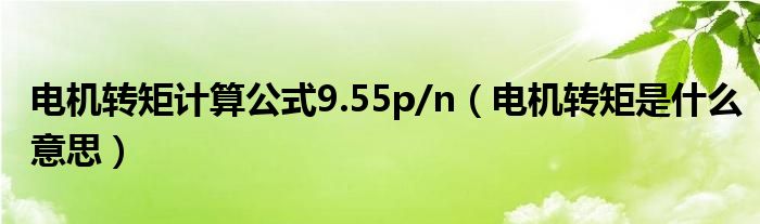 电机转矩计算公式9.55p/n（电机转矩是什么意思）